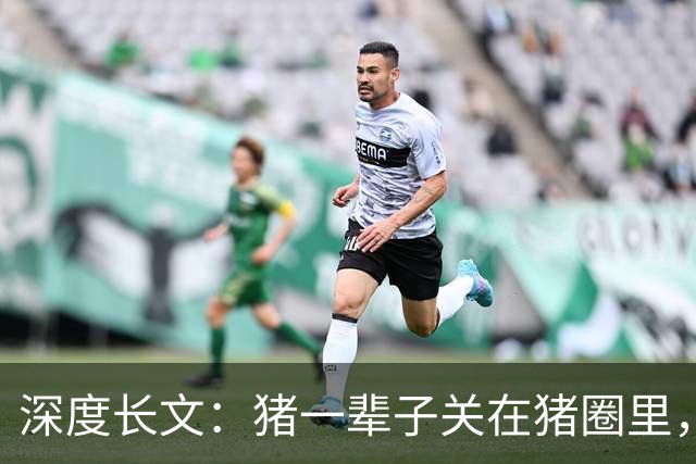 深度长文：猪一辈子关在猪圈里，为什么不会"憋疯"抑郁？其实它会