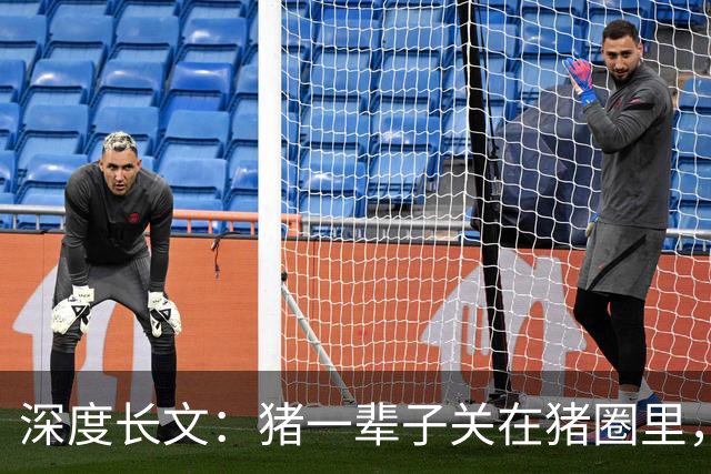 深度长文：猪一辈子关在猪圈里，为什么不会"憋疯"抑郁？其实它会
